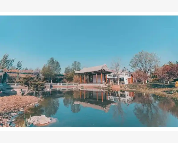男人阳萎怎么调理