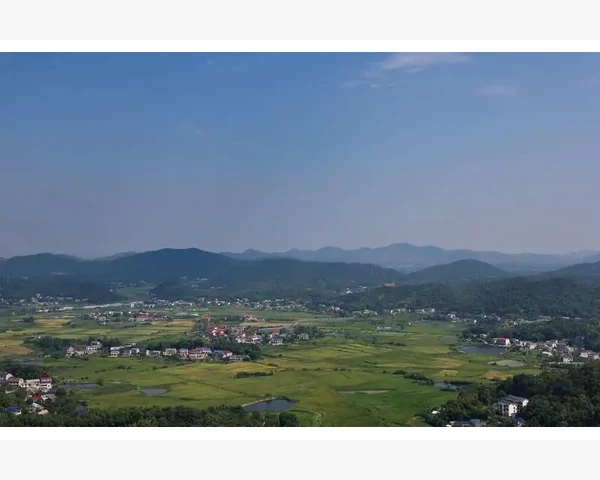 B2B传染如何影响企业采购链